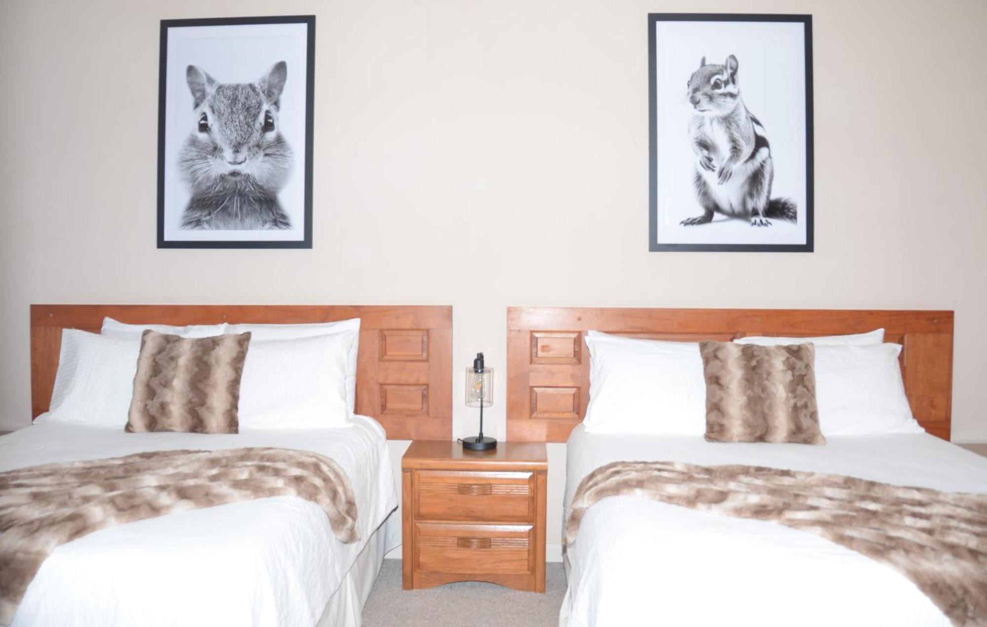 רואנוק Bent Mountain Lodge מראה חיצוני תמונה